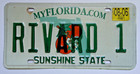 Florida Sunshine State Orange Blossom License Plate  pick One 