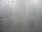 Vintage 80 s Acetate Tattoo Stencils  small Tats Set 12   Good Condition 