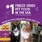 Freeze-dried Raw Cat Dinner Morsels     Grain Free  Protein Rich Cat   Kitten Food