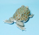 Bandai The Diversity Of Life On Earth Dark Budgett s Frog Movable Figure New