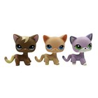 3pcs Littlest Pet Shop Toys Girls Bobble Head Short Hair Cats  1170  228  2094