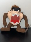Looney Tunes Taz 1995 Vtg Plush Stuffed Animal With Tags Warner Bros