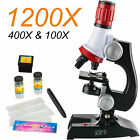 Amscope 100x-1200x Led Kids Beginner Microscope Toy Set   Slides Preparation Kit
