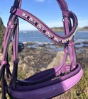 New Purple Embossed Monocrown Bridle- Cob
