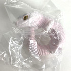 Bandai Gashapon Figure Yubimaki Gecko 02 Leopard Gecko Blazing Blizzard