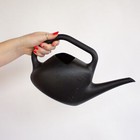 Bloem Resin Watering Can With Water Level Markings  Black  0 4 Gallon Capacity