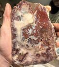 11 Oz Unknown Mystery Agate Rough Moss Plume Super Cool Must See Color Pattern