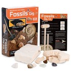 Amscope-kids Holiday Starter Kids Student Microscope Kit  fossil Dig Kit  slides