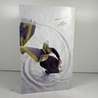 Liberation James Earl Jones Theatre December 2025 Playbill