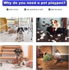 Bestpet Small Dog Crate Dog Cage Dog Kennel Metal Wire Double-door Folding Pet