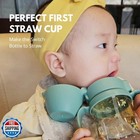 Grosmimi Flip Top Spill Proof Sippy Cup  Ppsu  Bpa Free  6 Oz  Stage 2 Straw 