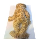 Beautiful  Vintage Handmade Artist-signed German Mohair Collectible Teddy Bear 