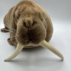Hansa Creations Walrus Portraits Of Nature Lifelike Plush 16   