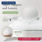 Ashler Home Deco 20x20 Pillows Insert  set Of 2  - Throw Pillow Inserts With 100