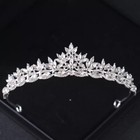 Adult Or Child Silver Crown Tiara Queen Princess Quinceanera Birthday Pageant
