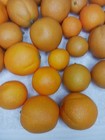Lot Of 28   Artificial Oranges Fake Faux Fruit Decor   Various Sizes 1-2 