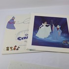 Walt Disney Wdcc Cinderella Dreams Come True Exclusive Lithograph Sleeve Envelop