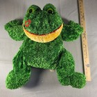 Dan Dee Collectors Choice Green Frog Plush Stuffed Animal 24  Red Kiss Lips