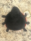 Ty Beanie Baby Lucky The Lady Bug 1995 Stole 4040