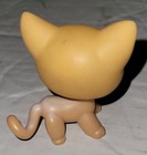 2004 Littlest Pet Shop  72 Cat Figure