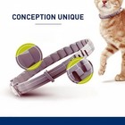 Cat Collar Flea And Tick Treatment Waterproof 8 Months Protection Odorless