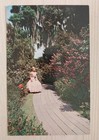 Southern Belle In Pink Dress  Cypress Gardens Florida Fl  Vintage Postcard