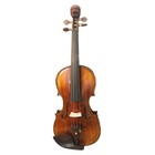 Sky4 4 Size Artist Violin Outfit Hand-made W Rosewood Parts Antique Lion Head