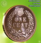  1877 Indian Head Penny  1 Oz  999 Copper Round  not A Penny 