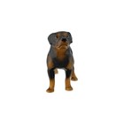 Hagen-renaker Retired Miniature Figurine Rottweiler