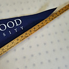  Longwood University Pennant Banner - Felt Wool Wall Flag  Navy   White  30   