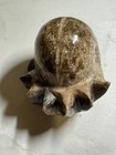 Ammonite Large Polished