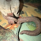 Antique Wood   Iron Single Pulley Block With Forged Hook And Industral Hardware