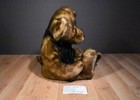 Dan Dee 100th Anniversary Large Brown Teddy 2002 Bear Plush 310-2007 