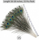 Lamar Peacock Feathers 15 Pcs 16-18 Inch Feathers Bulk Bundle For Tall Vases  We