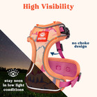 Petgrove Cat Kitten Harness And Leash Set For Walking