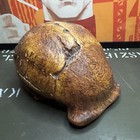 Vintage Sinantrop  Skullcap Model Made Of Plaster  50   s - 60   s Soviet Union