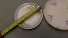 Thomas Bavaria  Artist Signed Floral Plate And Other Beautiful Hand Painted Plat