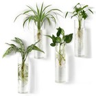 Wall Hanging Vases Pack Glass Propagation Stations Flower Planter 4