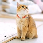 Reflective Personalized Kitten Cat Collar   Bell Engraved Name Id Tag Adjustable