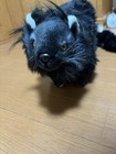 Hansa Bh8147 Binturong Plush Toy Realistic Bearcat Stuffed Animal 43cm