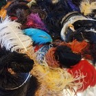 Antique Colorful Curly Ostrich Feather Plumes Millinery Huge Lot Victorian 