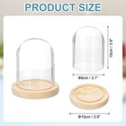Glass Cloche Display Dome 3 9  X 3 1  Glass Dome Display Case Natural