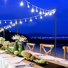 2x Outdoor Metal String Lights Poles With Fork Shepherd Hooks Adjustable Height
