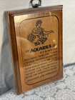 Vintage Astrology Sign  Horoscope Aquarius Wood Hanging Wall Plaque New Sealed
