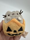 3  Pusheen Pumpkin Halloween Plush Keychain Blindbox Stuffed Cat 2017