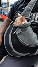 Pet Puppy Dog Mesh Sling Carry Pack Backpack Carrier Travel Tote Shoulder Bag