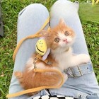 Adjustable Bee Cat Harness And Leash Set For Small Medium Cats And Dogs