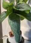  parrot Ceramic Vase  10  High Versatile Planter Or Figurine  statement Piece 