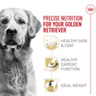 Royal Canin Breed Health Nutrition Golden Retriever Adult Dry Dog Food  30 Lbs