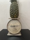 1940s Vintage Chatillon Metal Baby Nursery Scale 30 Lb